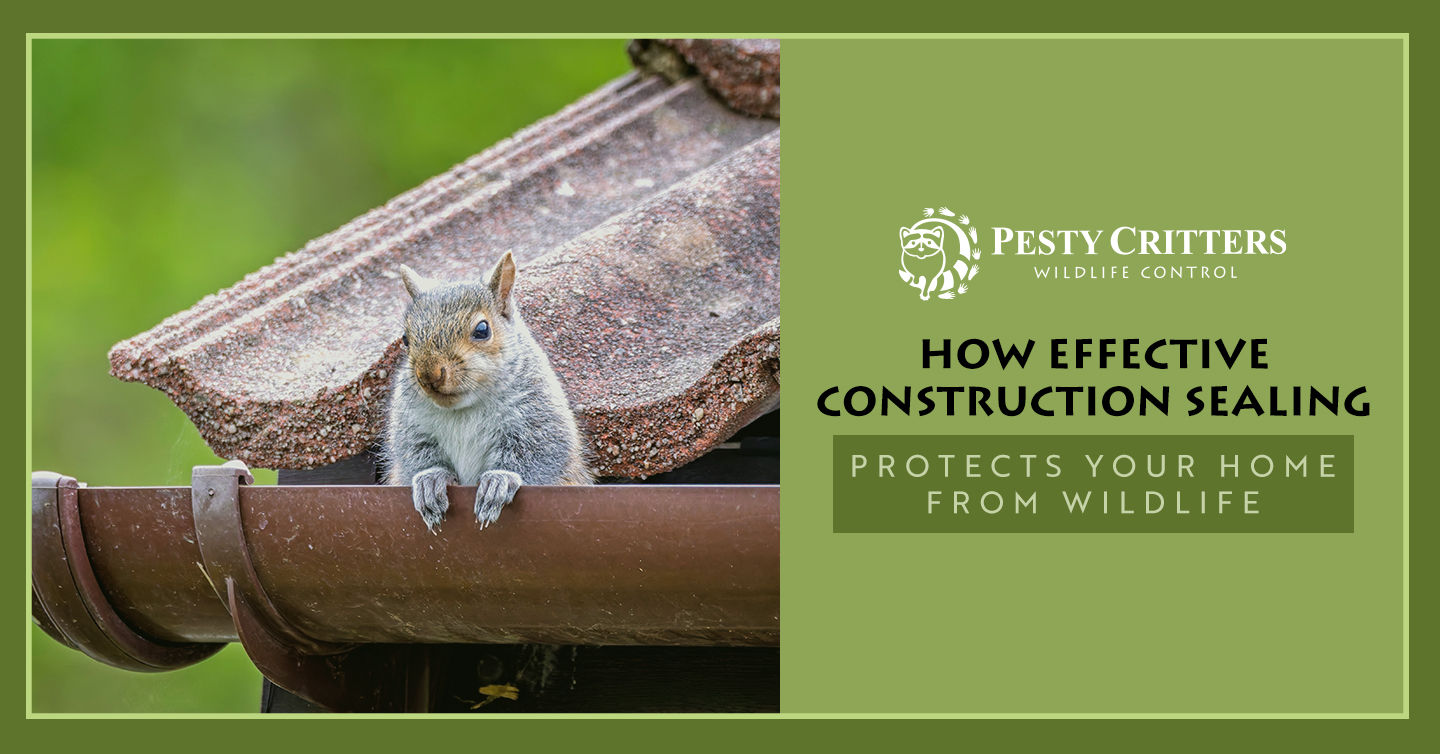 You are currently viewing How Effective Construction Sealing Protects Your Home From Wildlife