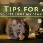 5 Tips for a Pest-Free Holiday Season