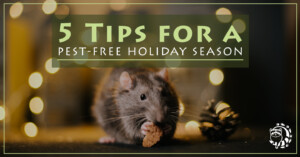 Read more about the article 5 Tips for a Pest-Free Holiday Season