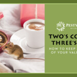 Two’s Company, Three’s a Pest: How to Keep Wildlife Out of Your Valentine’s Day