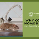 Why Common Home Remedies Fail To Keep Wildlife Away