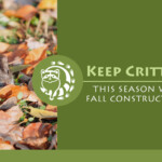 Keep Critters Out This Season With Smart Fall Construction Sealing